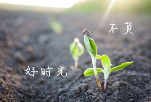 用你的聲音打動我 不負這最好的時光