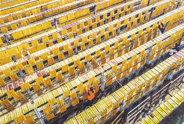 百年粉條 加快配套項目建設