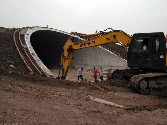 江南新區九曲花街,今年底完工開放!