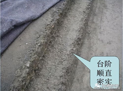 水泥穩定碎石基層精細化施工管理,這個必須收藏了