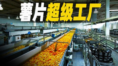 走進薯片的制造工廠,探秘所謂 垃圾食品 的生產過程,黃瓜味才最好吃