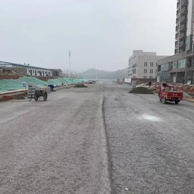 「1038」城區公園北路(湖天北路-順天北路)預計2019年春節前完工!